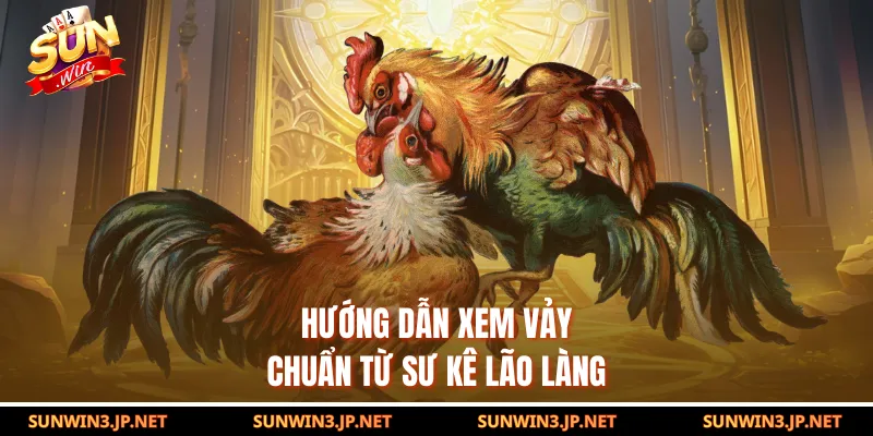 Hướng dẫn xem vảy chuẩn từ sư kê lão làng