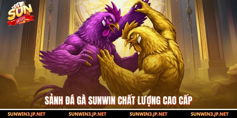 Sảnh đá gà SUNWIN chất lượng cao cấp
